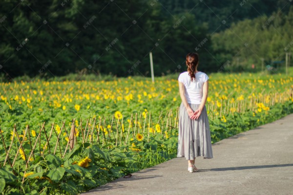 武汉按摩神器，轻松解压，养生必备！